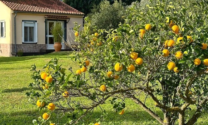 Olvera House | Vacation home for 2 guests with 30m² in Olvera (267494)