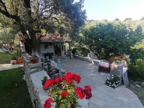Skiathos House | Vasilis' kalivi