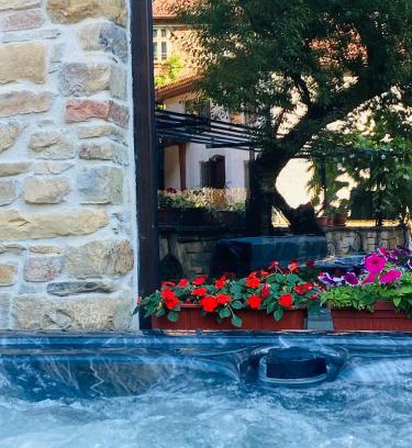 Gabrovo House | Verta House