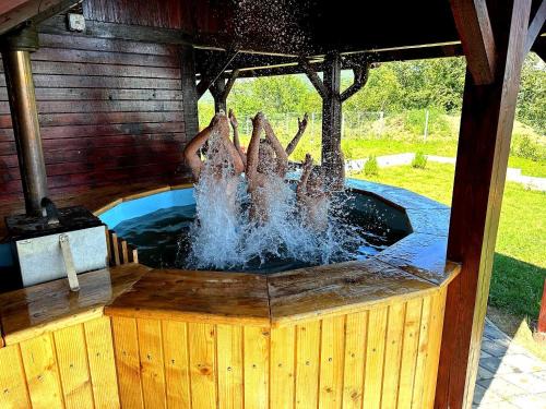 Comarnic Villa | Vila David 2 Comarnic