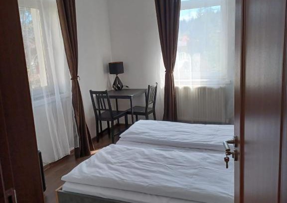 Predeal Cabin | Vila Oltețul