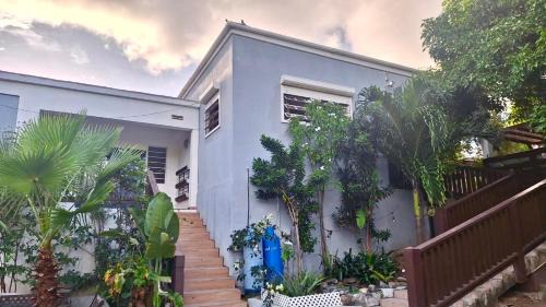 Middle Region Apartment | Villa Conochi