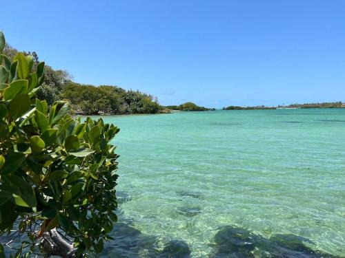 Poste Lafayette Villa | Villa Cotzot, 3 chambres, pieds dans l'eau
