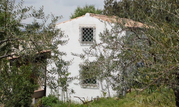 Oliena House | Villa Ferulas, surrounded by nature