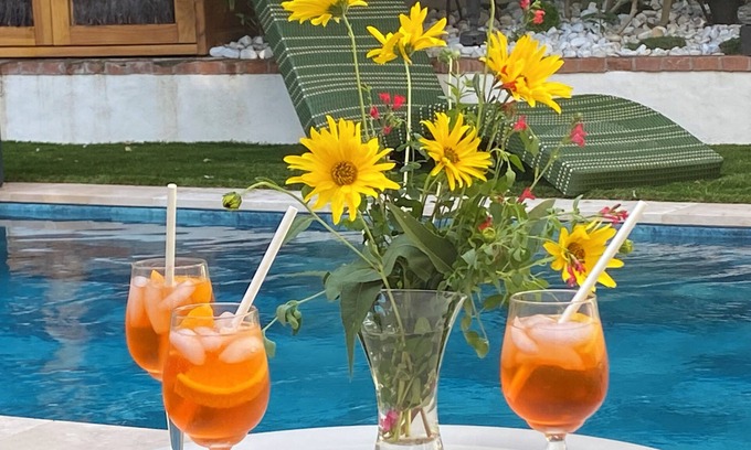 Chinon House | Villa L'ENTREPOTES with heated pool in CHINON's historic city center