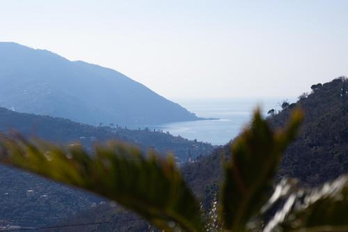 Recco Apartment | Villa Le Macine