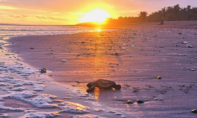 Buenos Aires House | Villa Milagro