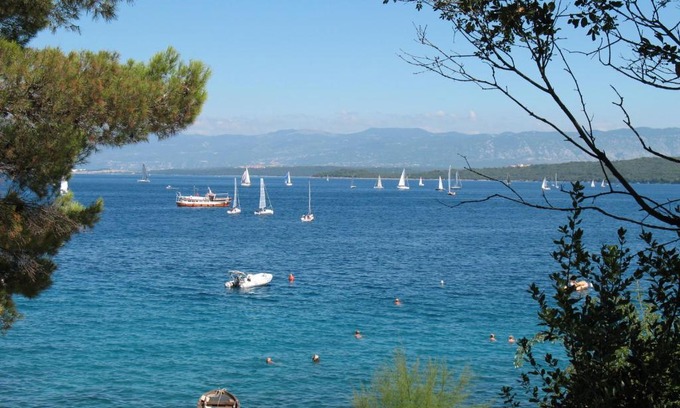 Vantacici Apartment | Villa Maslina