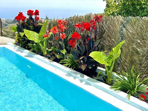 Firgas Villa | Villa Ocean Breeze