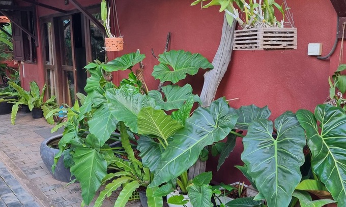 Siem Reap Bed & Breakfast | Villa Sa Ke - Khmer House