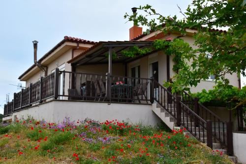 Kamariotissa Villa | Villa Thanos