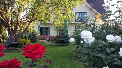 Targu Secuiesc House | Villa Westfalia Guest House