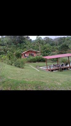 Palma Quemada Villa | Villas Carari 2