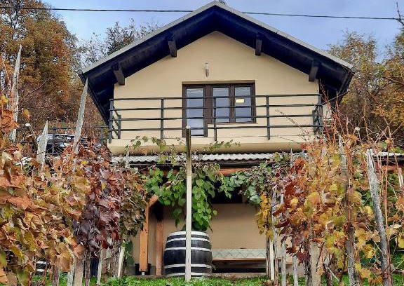 Dolenjske Toplice Apartment | Vineyard cottage Kulovec