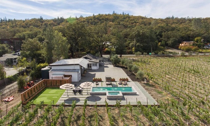 Calistoga Other | Vineyard