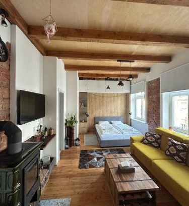 Old Town Apartment | Vintage Modern Apartment Old Town Bratislava