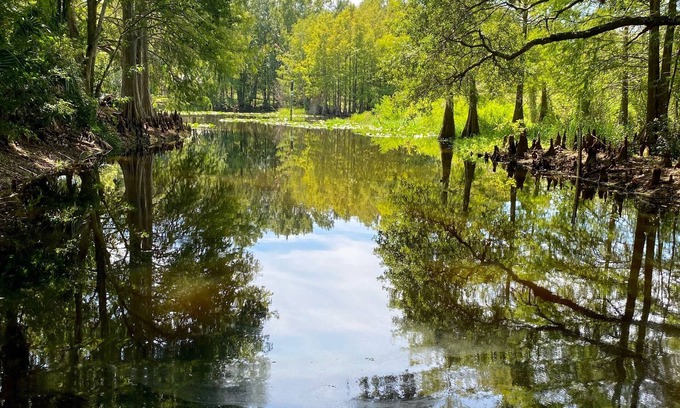 Inverness Cottage | Vintage Old Florida Cottage on Dead Boat Cove, Boat and Dog friendly!