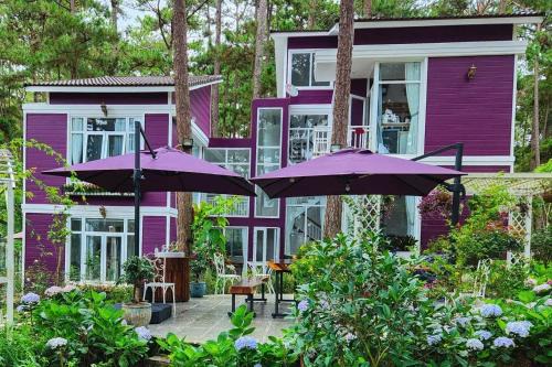 Da Lat Hotel | Violet Villa Đà Lạt
