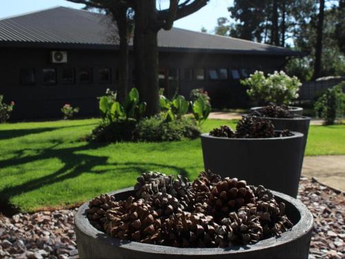 Kempton Park Hotel | Vista ORT