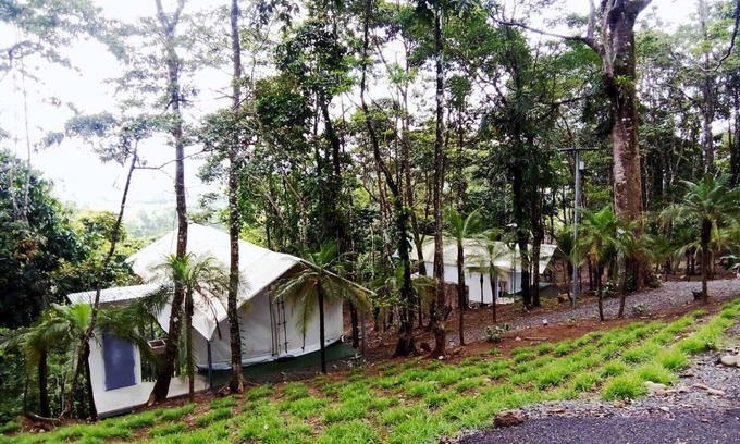 San Rafael de Guatuso Other | Volcano Tenorio Glamping Ranch - 3 Tents