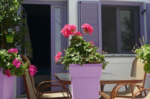 Vourkari Apartment | Vourkari Studio with full kitchen