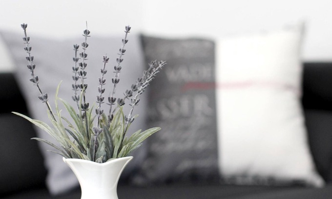 Sundern Apartment | Vrbo Property