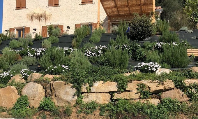 Arbori House | Vrbo Property