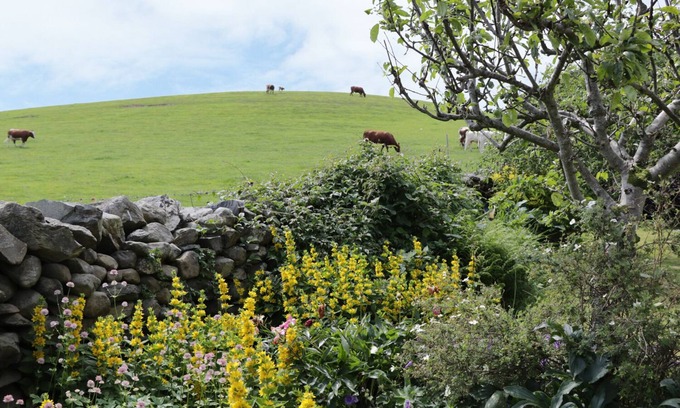 Flookburgh Cottage | Waingate Cottage