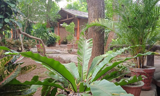 Udawalawa Hotel | Walawa cottage