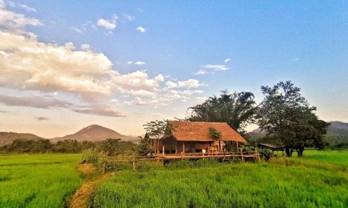 Chiang Dao House | Wanmai Farm Stay Muangkong วันใหม่ฟาร์มสเตย์ เมืองคอง เชียงดาว