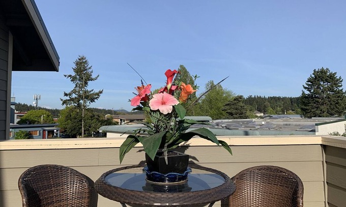 Friday Harbor Condo | Warm and Bright in the Heart of Downtown Friday Harbor