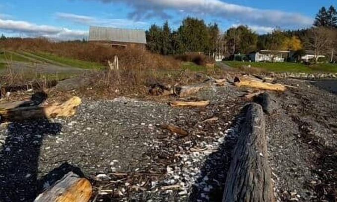 Olga House | WATER VIEWS! WOOD BURNING STOVE! PRIVATE!