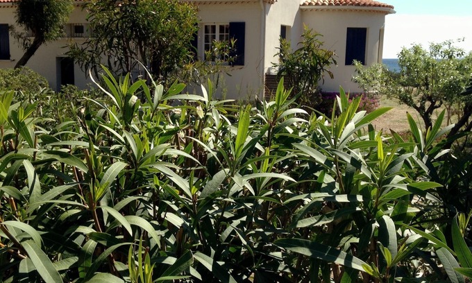 Toulon - Hyeres Villa | Waterfront property renovated in 2024