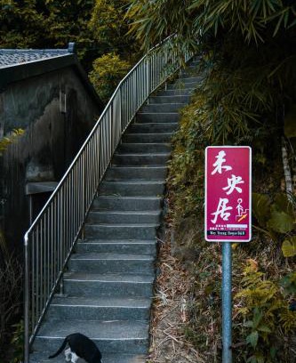 Ruifang House | Way Young House