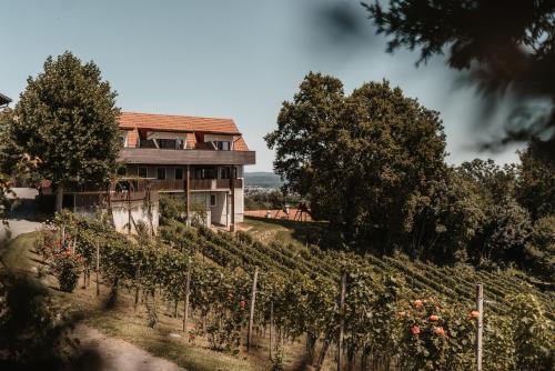 Seggauberg House | Weingut Assigal