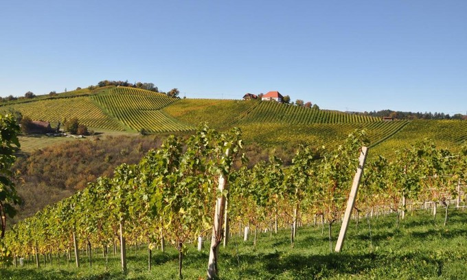 Ehrenhausen an der Weinstraße Bed & Breakfast | Weingut Kögl