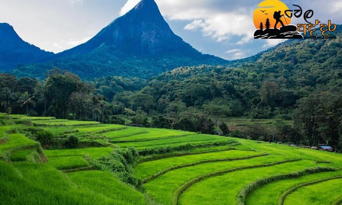 Meemure Resort | Wela Addara Nawathana