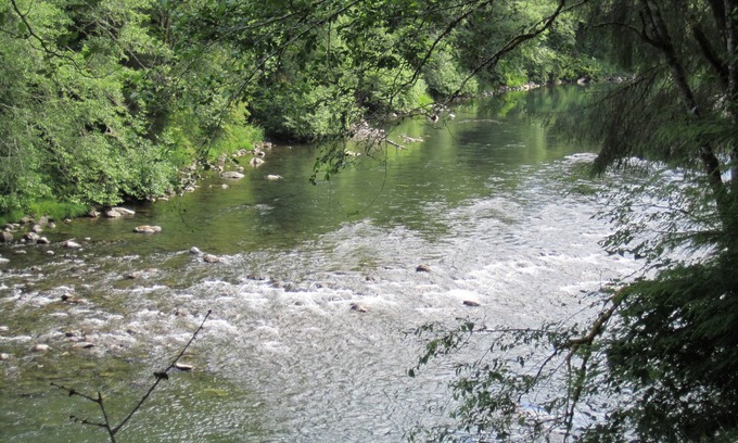 Forks Cabin | Welcome to Cabin on the Middlerun - All Cedar Cabin On The Sol Duc River