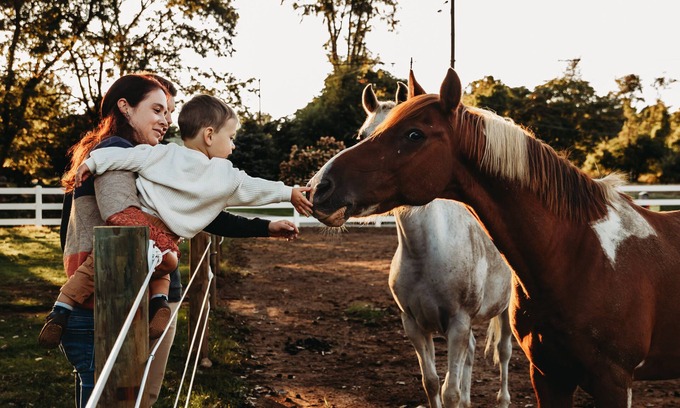 Springtown Other | Welcome to our quiet 8 acre horse farm/Rescue in Hellertown Pennsylvania!