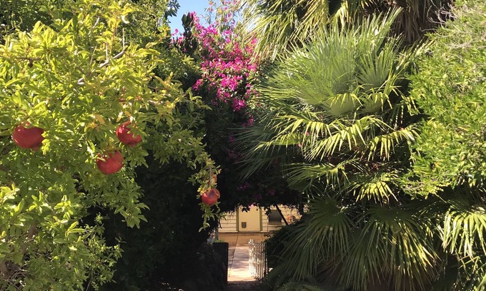 Broken Hill House | Welcome to Shazza’s