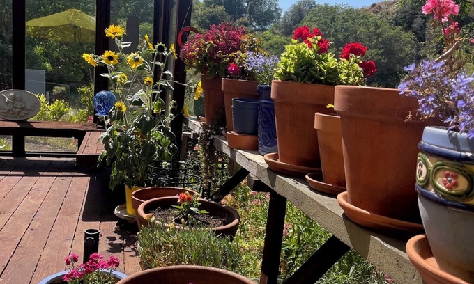 Westlake House | Westside Santa Cruz home at base of UCSC campus which overlooks the Pacific