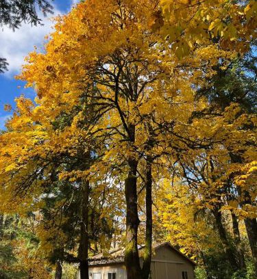 Union Hill-Novelty Hill Ski Chalet | Whispering Pines Farmhouse