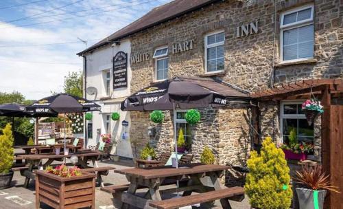 Pentrefelin Hotel | White Hart Llandeilo