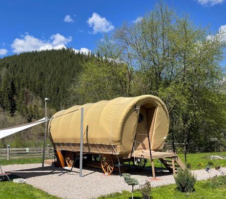 Campulung Moldovenesc Other | White Spring Glamping