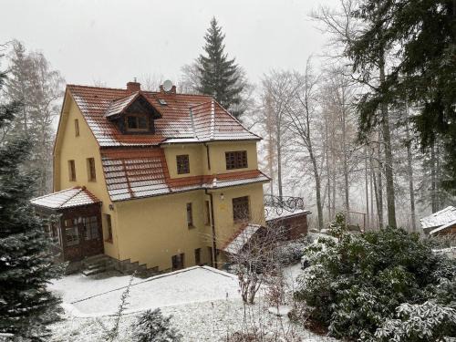 Sosnowka Villa | Willa pod Seidorfem