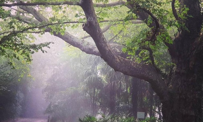 Winterton Cabin | Winterton Country Lodge @ Rose Cottage