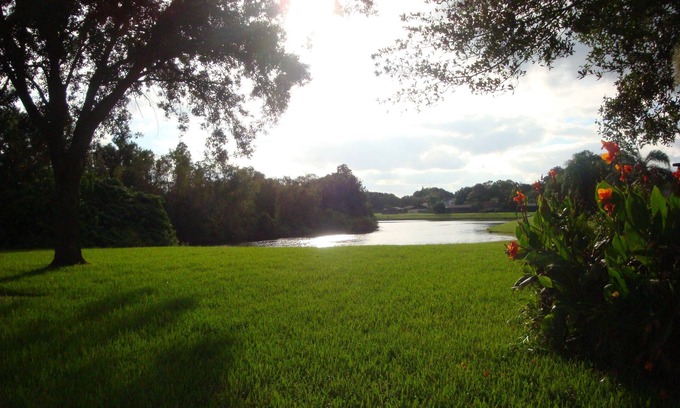 Carrollwood House | WOW - like staying in a park: beautiful lakefront, private heated pool in Tampa!