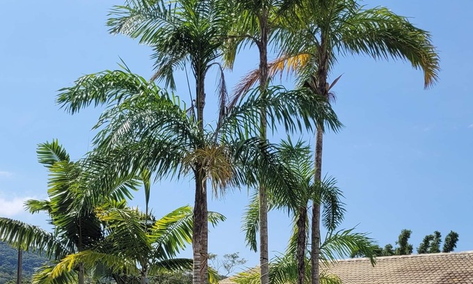 Sertao do Trombudo House | Your beach vacation home.