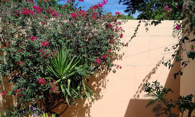 Red Hook Villa | Your Private Villa & Pool in the sun!