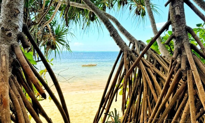 Kiwengwa Hotel | Z-Lodge Zanzibar
